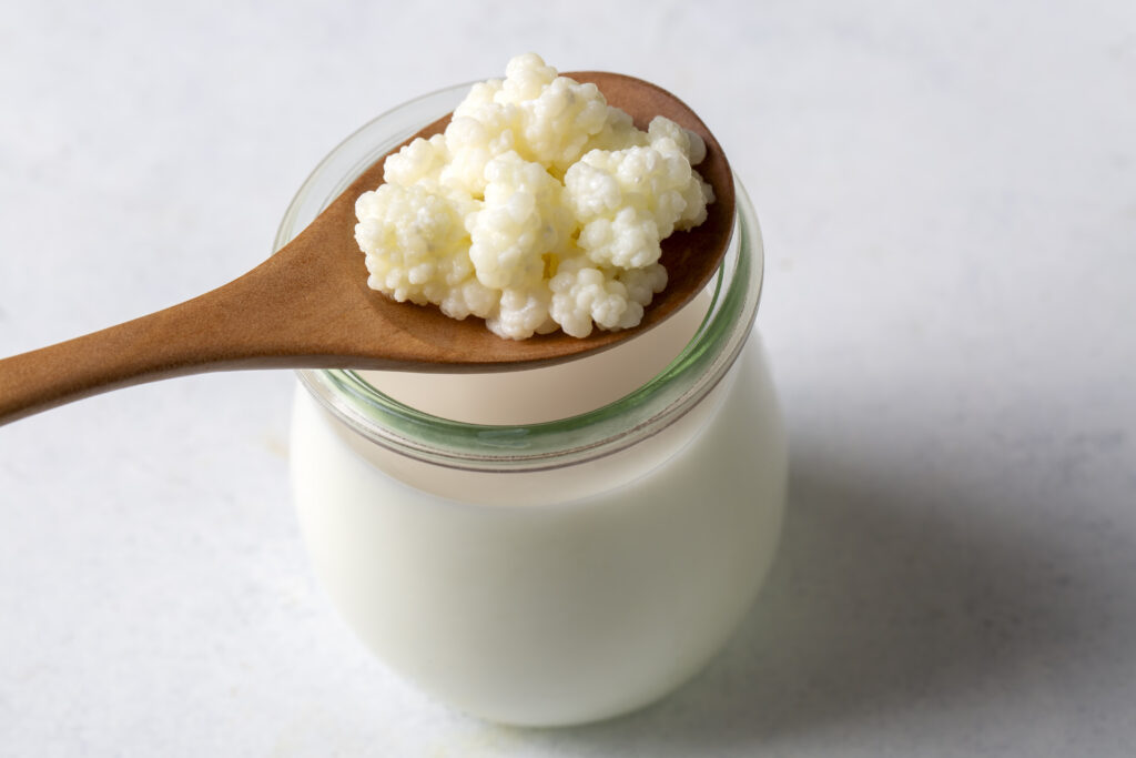 kefir fermented milk drink with kefir grains. homemade kefir sta