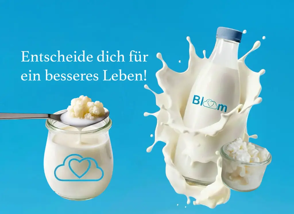 Frische Kefirknollen (Milch-Kefirkulturen) von Bloomies – Kefir selbst machen in Deutschland